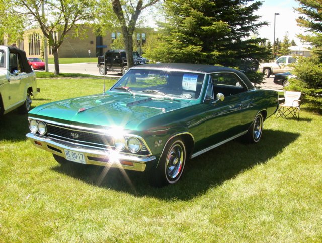 chevelless396.jpg