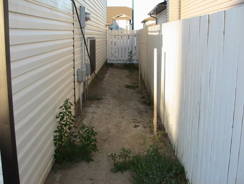 backyard5.jpg